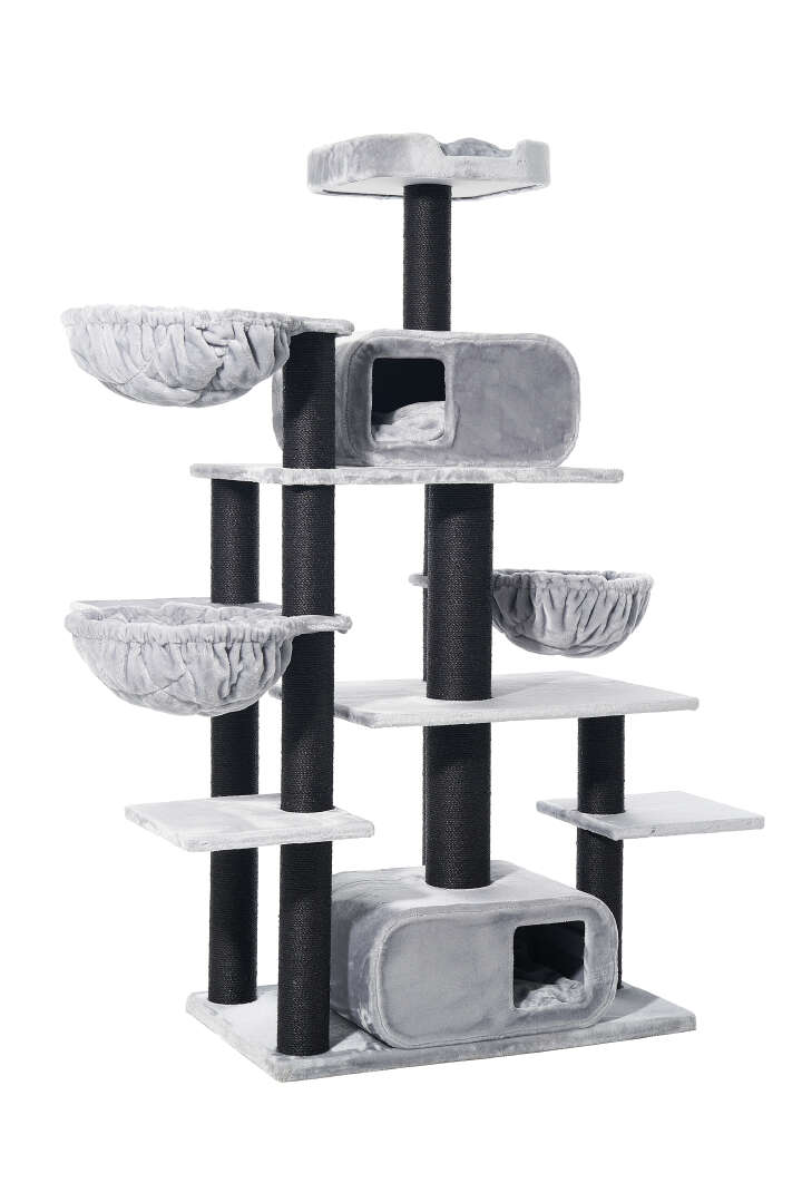 Nobby Kratzbaum Todor